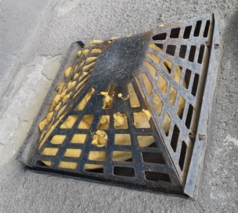 Szakszerű és szép