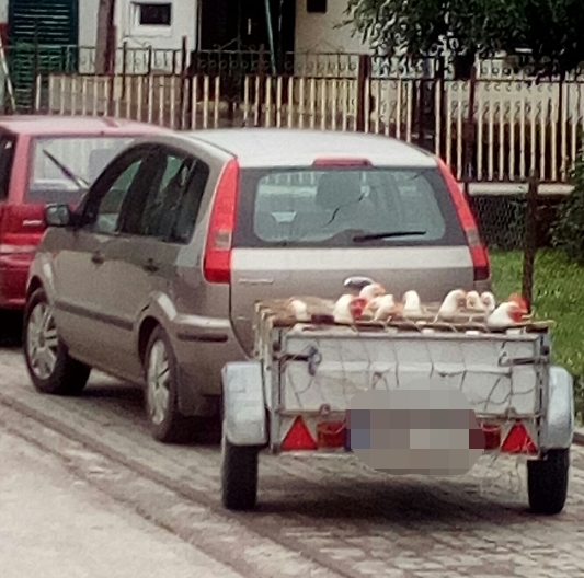 Tegnap Bábolnán látták a szállítót