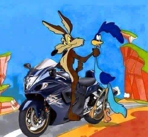 Beújított a prérifarkas