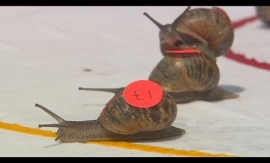 Egy agresszív sofőr