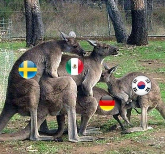 Németország utolsóként végzett a csoportjában a foci vb-n