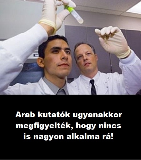 Brit tudósok bebizonyították, hogy a teve nem tud háton úszni