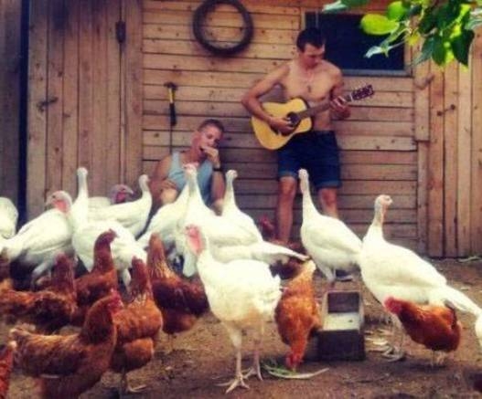 Ha jó a zene, lesznek pipik