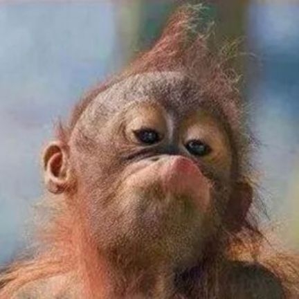 Magyar melós tekintet fizu után