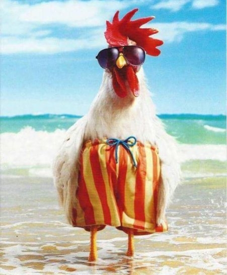 A hétvégére visszatér az igazi standidő