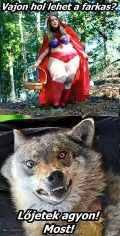 Világgá ment, amikor meglátott :P