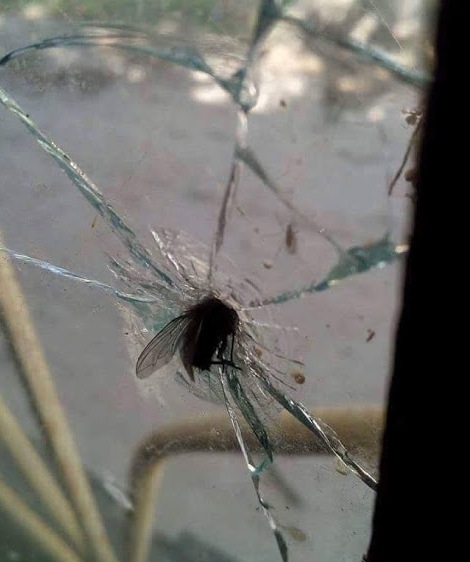 Mert megy, mint a hülye