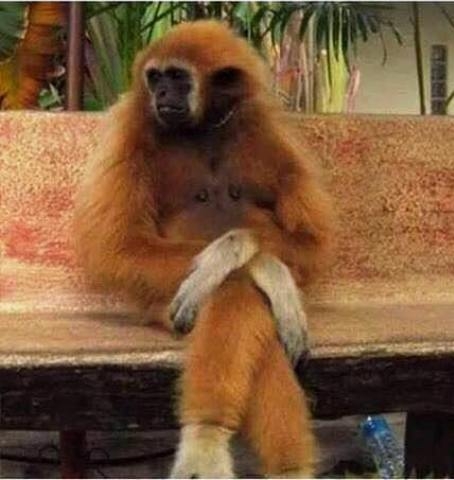 Amikor egy nyilvános helyen lemerül a telód