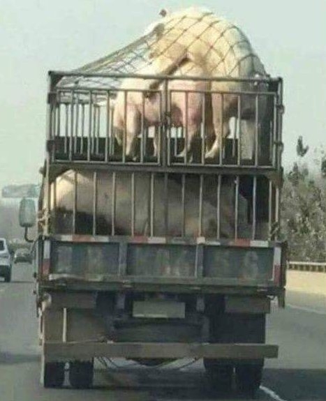 Élj úgy, mintha a mai lenne az utolsó napod! 