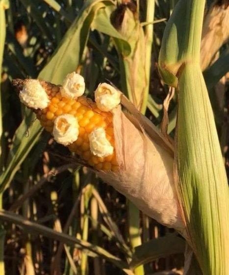 Ma is nagyon meleg van...