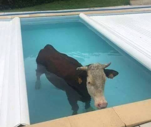 Amikor azt írja a recept, hogy...