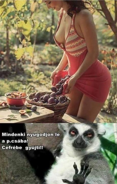 Még szerencse :P