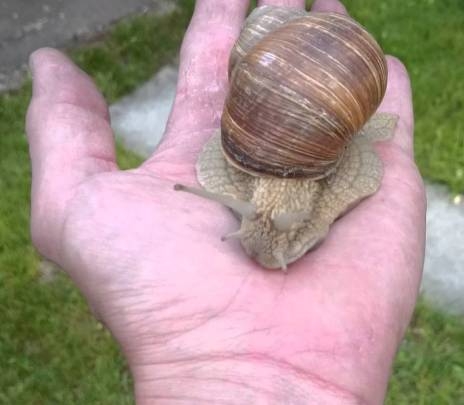 Mától nekiállok sportolni kicsit