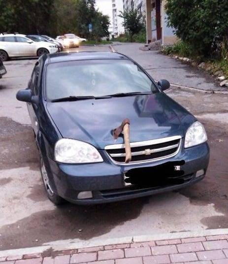 Önnek egy új üzenete érkezett