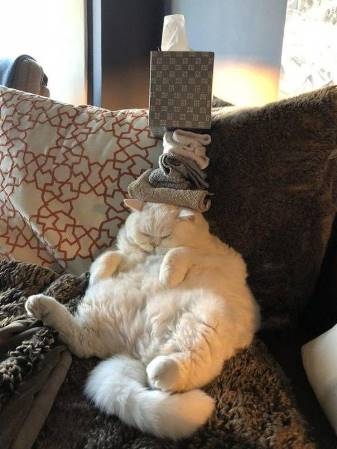 Uccsó előtti munkanap után a héten...