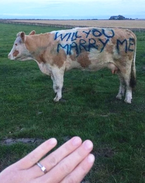 Romantika - Skóciai verzió