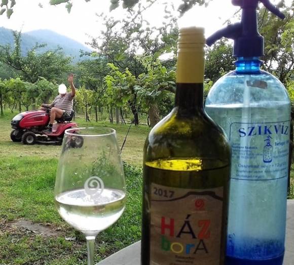 Forma-1 Badacsony nagydíj