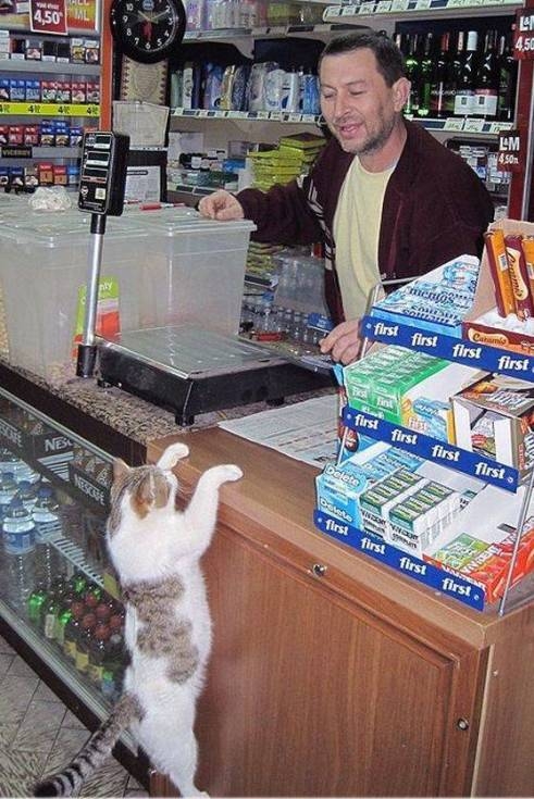 Jó napot! Egy egeres Orbitot kérnék...