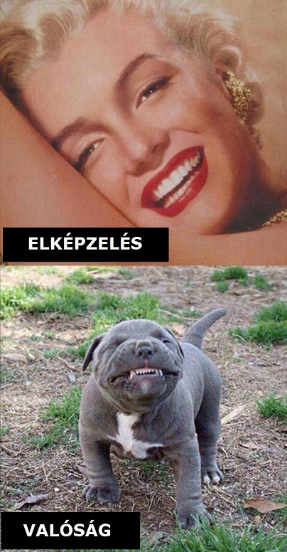 Amikor a kamerába mosolyogsz