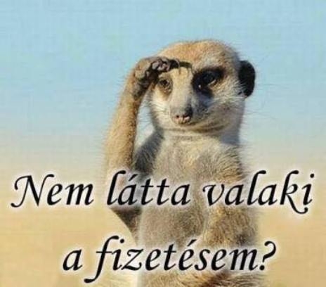 Hétvégén buli, kellene egy kis zsé