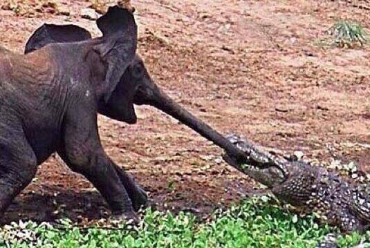 Amikor kihúznád időben, de...