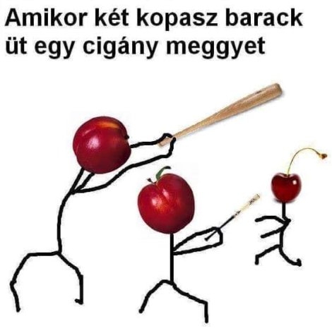 Mit nevezzünk bio rasszizmusnak?