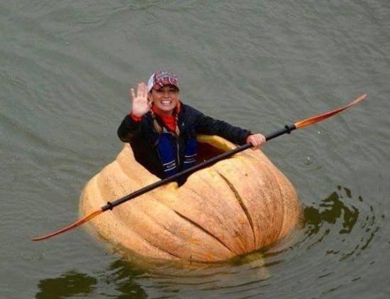 Szevasztok napiszarosok!