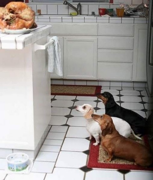 Sült csirke megfigyelő üzemmód aktíválva