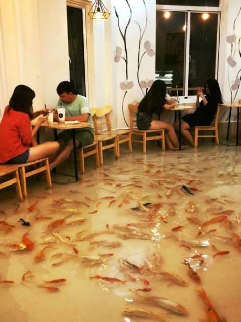 Beülnél egy menüre?