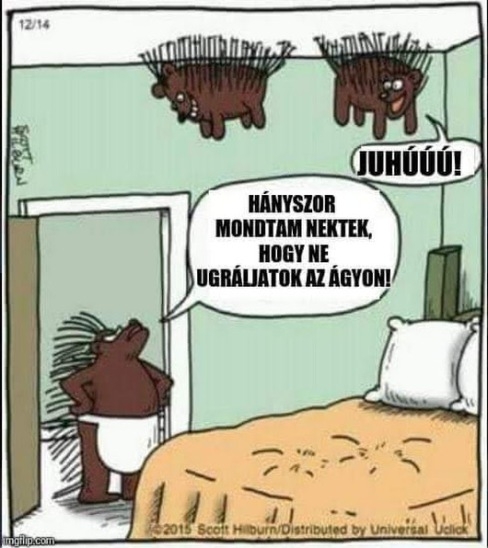 Mintha a falnak beszélne az ember 