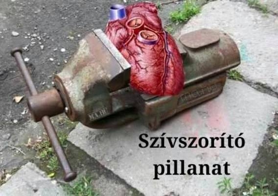 Keddi zsibbasztó