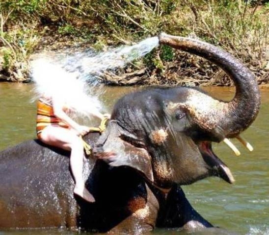 Meglepetééééééééééés