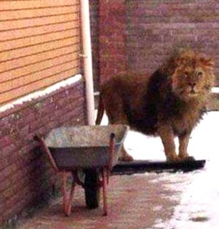 Egy bizarr történet