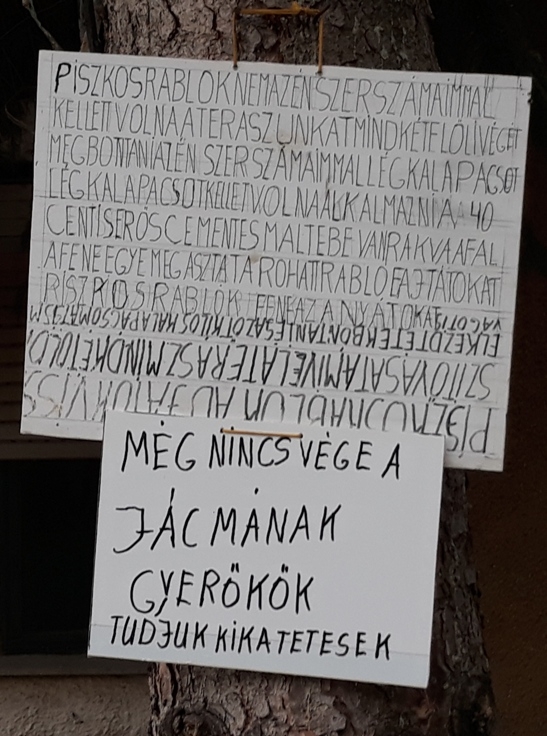 A Csongrád megyei Szőregen is sok probléma van!