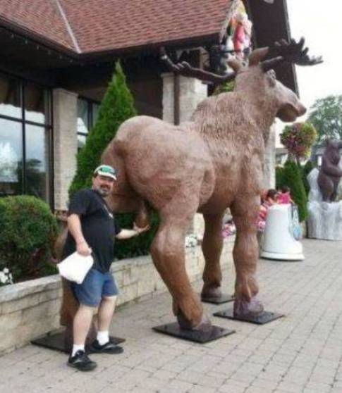 Rámarkolt a zacsira