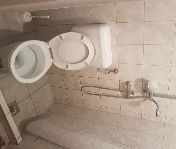 Bácsalmáson járunk...