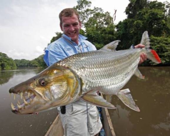 Szép példány 😮