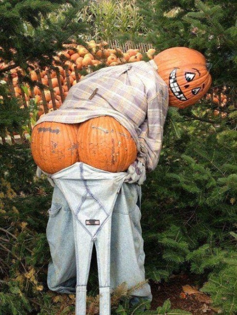 Neked milyen lesz idén a tököd?