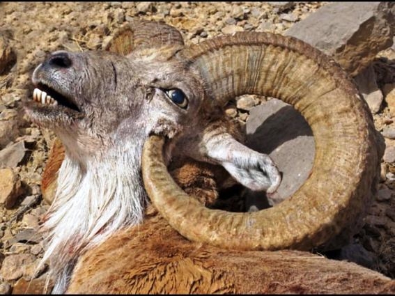 Vele kicseszett az élet rendesen