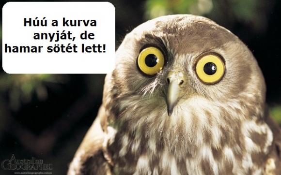 Óraátállítás megvolt? :P