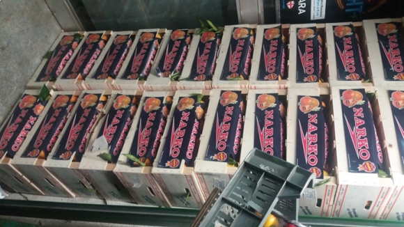 Megérkezett a mandarin szállítmány 🙂