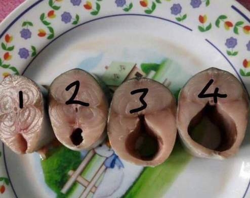 Csajok az egyetemi évek alatt