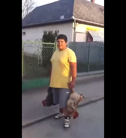 Bözsi nééniiiiiiiiiiiii! Boldog névnapot!