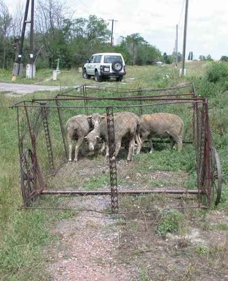Tologatható fűnyíró