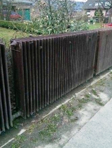 Ők így védekeznek a hideg ellen