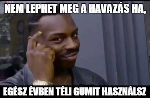 Napi bölcs