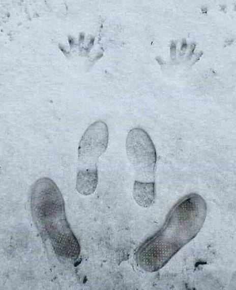 Hajnali numera a hóban