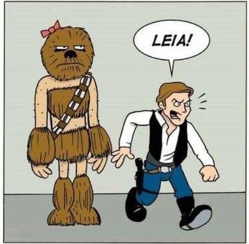 Sose bízd egy nőre a kedvenced!