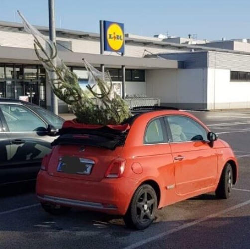 Akciós volt a fenyőfa a sógoroknál