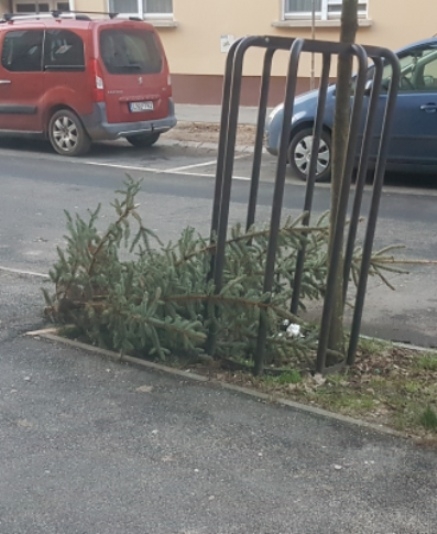 Eközben Szombathelyen...